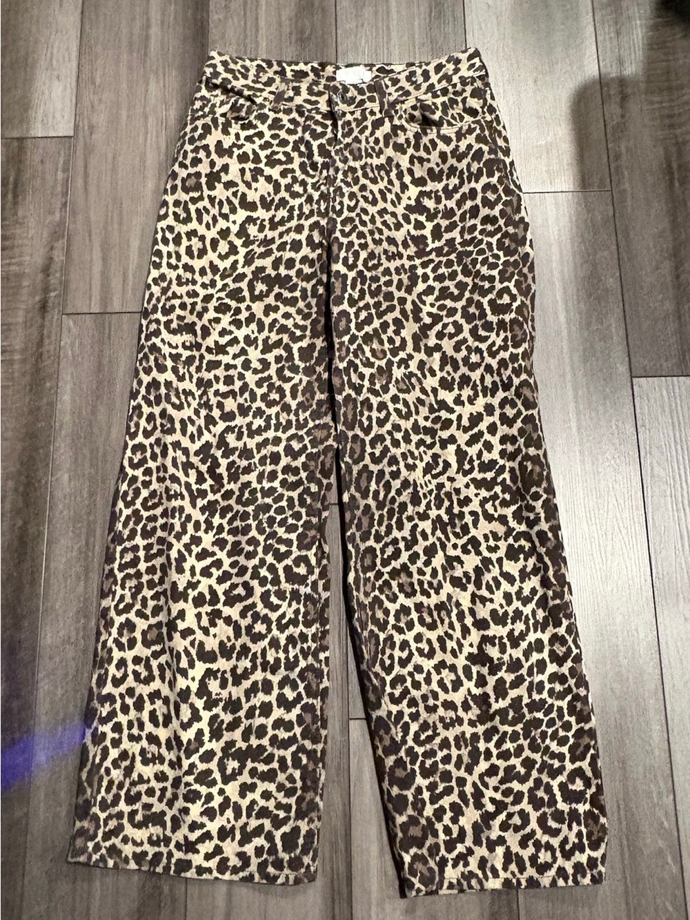H&M Cheetah Print Wide Leg Pants